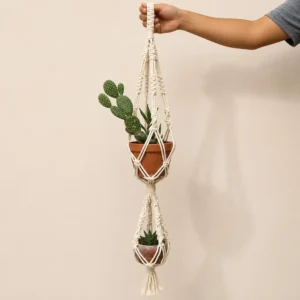 Macrame hanging planter with two terracotta pots containing succulents, held by a hand.