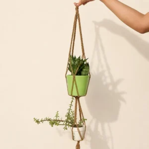 Hand holding a braided-m rope plant hanger with a green pot containing a succulent above a white pot with a trailing plant.