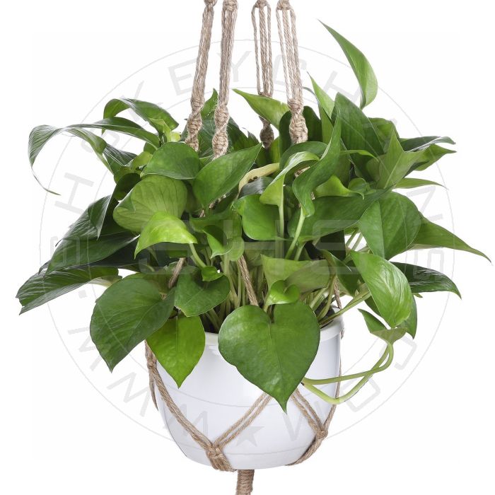 macrame-Jute-Medium_2 - Artoza Crafts | Where Craft Becomes Style