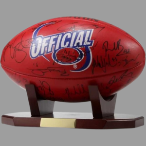 Rugby Ball Presentation Trophy – Real Ball Sports Memorabilia Award