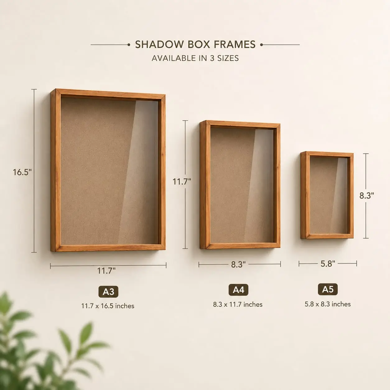 shadow frames - Artoza Crafts | Where Craft Becomes Style Three wooden shadow box frames mounted in a row with size labels A3, A4, and A5 and their dimensions shown (11.7x16.5 in, 8.3x11.7 in, 5.8x8.3 in).