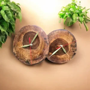 Two rustic wooden clock slices with red clock hands mounted on a warm beige wall, flanked by green plants.